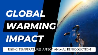 How Rising Temperatures Affect Animal Reproduction and Survival Rates [upl. by Mihalco]