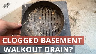 Basement Walkout Drain Clogged Maintenance Checklist [upl. by Leribag857]