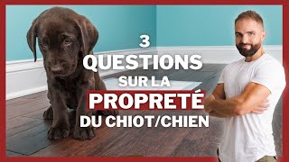 A quel âge un chiot est propre 3 questions sur la propreté [upl. by Reidar]