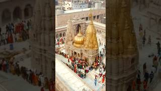 Kashi Vishwanath Darshan [upl. by Solokin]