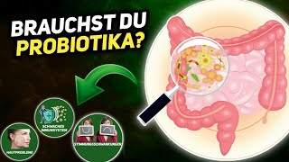 7 Anzeichen dass dein Verdauungssystem Probiotika benötigt [upl. by Ateval]