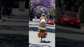 CYCLING INTO THE SPRING cycling cycle bike bikelife roadbike roadcycling [upl. by Verna181]