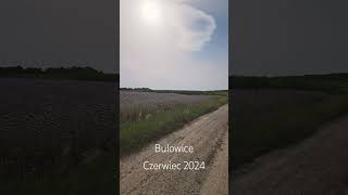 Bulowice  Czerwiec 2024 [upl. by Dinin]