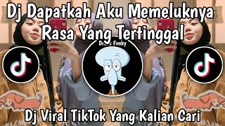 DJ DAPATKAH AKU MEMELUKNYA MENJADIKAN BINTANG DI SURGA  RASA YANG TERTINGGAL VIRAL TIK TOK TERBARU [upl. by Izawa]