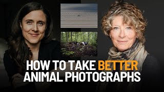 Animal Photograph Critiques with Kathy Moran and JoAnne McArthur [upl. by Rafaj]