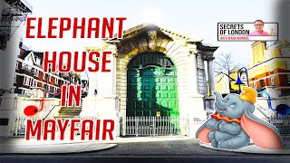 Elephant House In Mayfair [upl. by Ykcor]