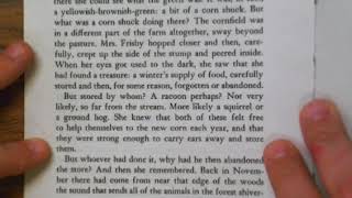 Mrs Frisby and the Rats of NIMH The Sickness of Timothy Frisby Ch1 [upl. by Icul]