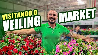 Visitei a maior feira de PLANTAS e FLORES do Brasil  VEILING MARKET com Murilo Soares [upl. by Ahsinar]