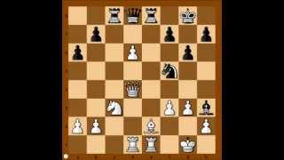 Kasparov vs Carlsen  Reykjavik 2004 [upl. by Enelie]