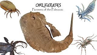 CHELICERATES Pioneers of the Paleozoic [upl. by Rephotsirhc630]