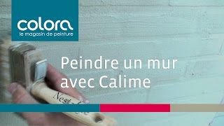 Peindre un mur avec Calime  comment faire [upl. by Shepard]