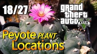 GTA 5  Peyote Plant Locations 1827 [upl. by Navada]