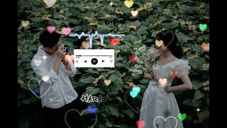 TIMRO MAYA MA CHEWANG LAMA  LYRICS VIDEO  TRANDING SONG [upl. by Eihtur417]