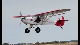 Avid Flyer MK4 Speedwing Jabiru BACK IN THE AIR [upl. by Yendys758]