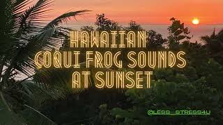 Hawaiian Coqui Frog Sounds at Sunset [upl. by Viguerie]