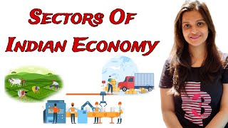 Sectors of indian economy class 10  Sectors of indian economy [upl. by Haerb]