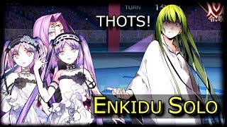 Battle In New York Euryale and Stheno  Enkidu Solo FGO [upl. by Dnaltiak]