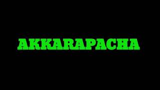 AKKARAPACHA  by NJ  neeraj madhav  produced by  young H song lyrics  MZI LYRICS [upl. by Gaultiero]