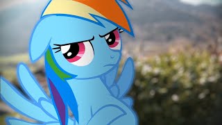 Rainbow Dashs Precious Book  Part 4 MLP in real life [upl. by Menon537]