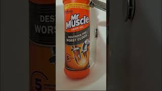 Mr Muscle Drain Unblocker Gel  Sink Test [upl. by Nylkaj226]