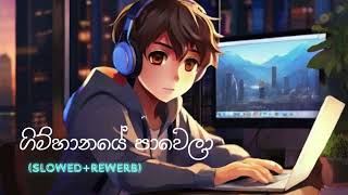 Gimhanaye Pawela sinhala song  slowedReverb  Binuz [upl. by Enelyt206]