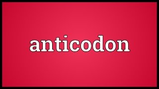 Anticodon Meaning [upl. by Afnin]