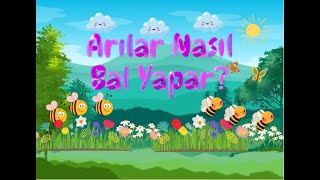 Arılar Nasıl Bal Yapar  Okul Öncesi Eğitici Animasyon [upl. by Daberath]