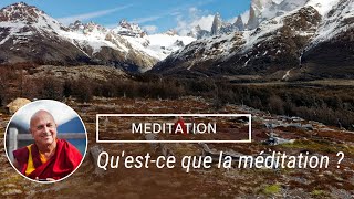 CHAPITRE 1  Découvrez la méditation avec Matthieu Ricard [upl. by Orme91]