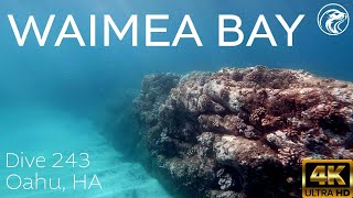 SCUBA How To Dive Waimea Bay  North Shore Oahu 2024  4k [upl. by Acsirp]