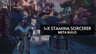 1vX Stamina Sorcerer  Solo Build [upl. by Sualokin]