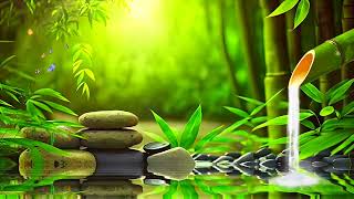 Relaxing Spa Music  Beautiful Peaceful Calm Music Meditation Nature Sounds Bamboo Water Sounds [upl. by Anavlis]