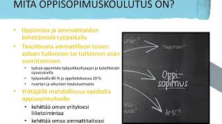 Mitä  oppisopimus [upl. by Yddet]