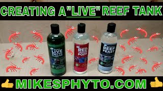 Adding Biodiversity To A Reef Tank  Live Zooplankton and Phytoplankton [upl. by Lawan]