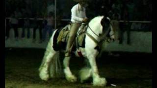 Caballos Bailadores en la Expo Ganadera Jalisco [upl. by Zonda]