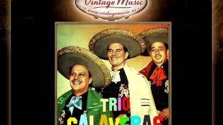 Trio Calaveras  Corrido A Arnulfo González VintageMusices [upl. by Arret]