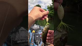 Bartrams Bass fishing riverfishing kayakfishing [upl. by Randa]