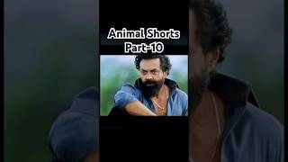 Animal Shorts Part10 animal shorts short animalshorts tseries [upl. by Faden65]