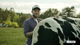 Information about Holstein Friesian Cow  Documentary [upl. by Llemmart]