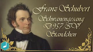 Franz Schubert  Schwanengesang D 957 IV Standchen [upl. by Birecree731]