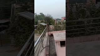 My village Himachal Pradesh shortvideo song [upl. by Sorac251]