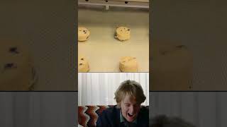 The real reason Owen Wilson says quotWOWquot all the time cookiemachine cooking food cookies shorts [upl. by Chuch978]