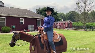 Western Horsemanship Demonstration on the Equicizer [upl. by Enyad198]