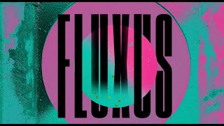 Django Django  Fluxus Official Visualiser [upl. by Arrait]