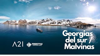 Georgias del sur e Islas Malvinas Antarctica 21  Freestyle Adventure [upl. by Farrah393]