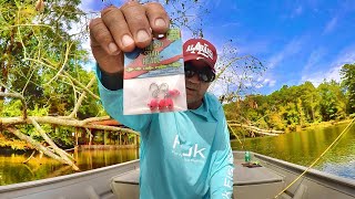 Catch Way More Crappie With Jigs Amazing Setup For Fall [upl. by Annoyek454]