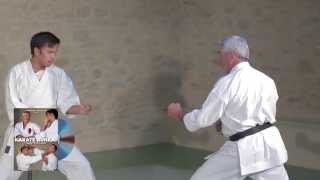 Karate Bunkai  JeanFrançois Tisseyre et Didier Lupo [upl. by Gerda629]