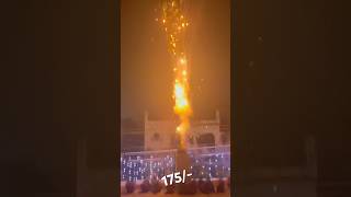 Don’t Buy This ❌ Lion King SkyShot From Gurusami 🔥 Sony Skyshot 🔥 Diwali 2024 fireworks [upl. by Anceline]