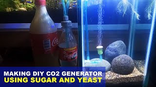 How to make DIY CO2 Generator Using Sugar and Yeast [upl. by Raouf]