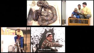 Leon Schuster  Snake prank：Most dangerous snake escapes in a pet shop [upl. by Smoht5]