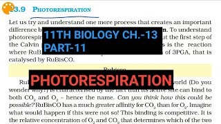 Class 11 BiologyCh13 Part11PhotorespirationStudy with Farru [upl. by Bessie]